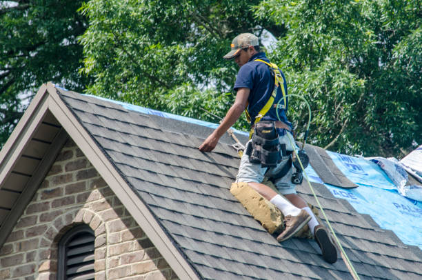Roof Gutter Cleaning in Trainer, PA